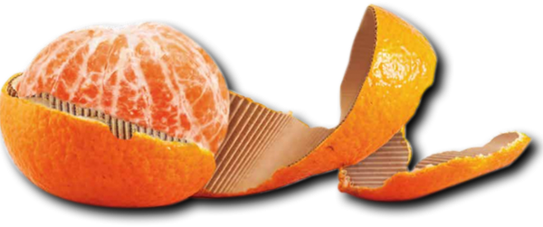 naranja carton