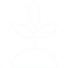 iconos tancitaro